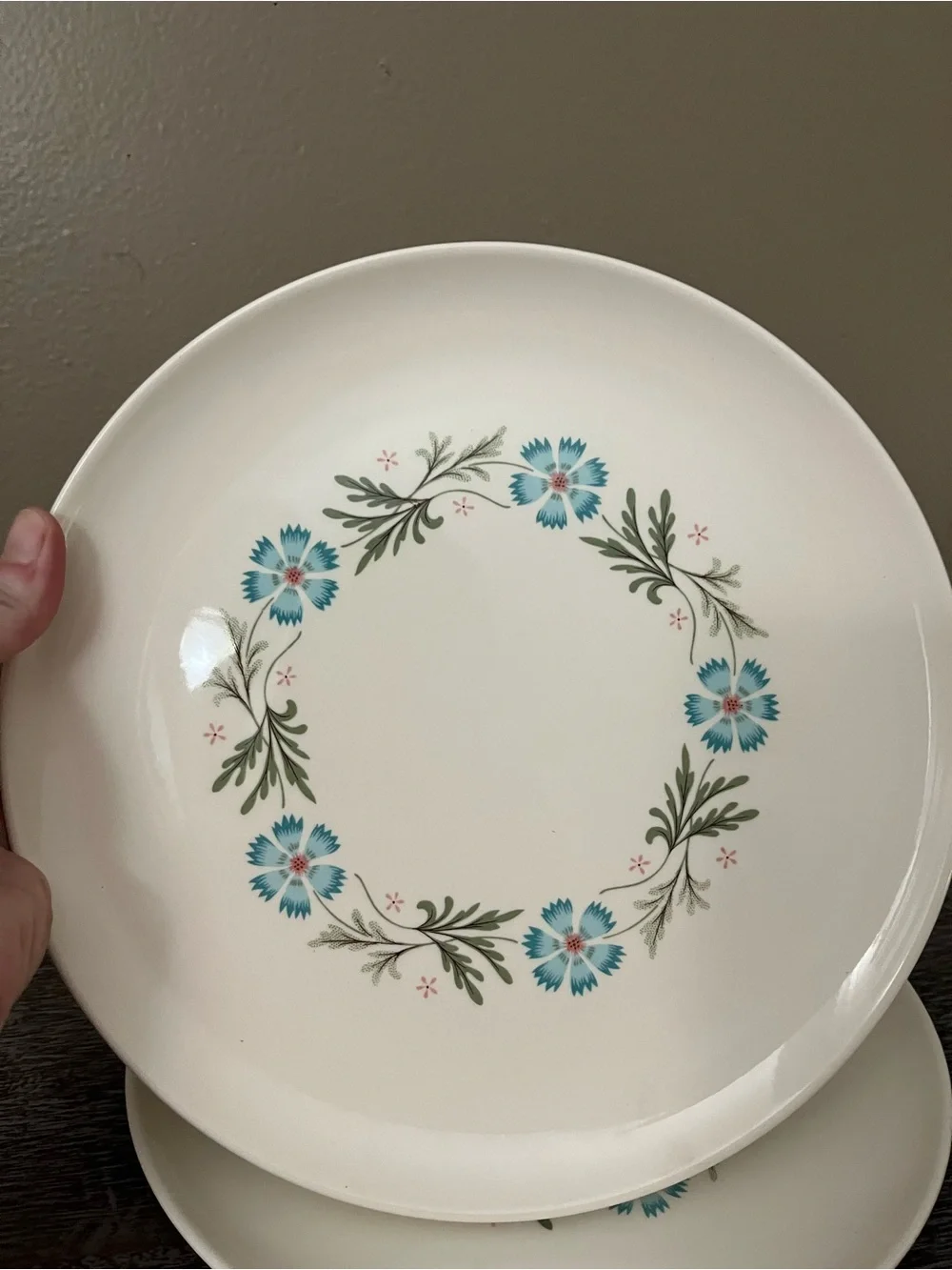 Vintage Taylor Smith & Taylor “Bridal Wreath” dinner plates set of three